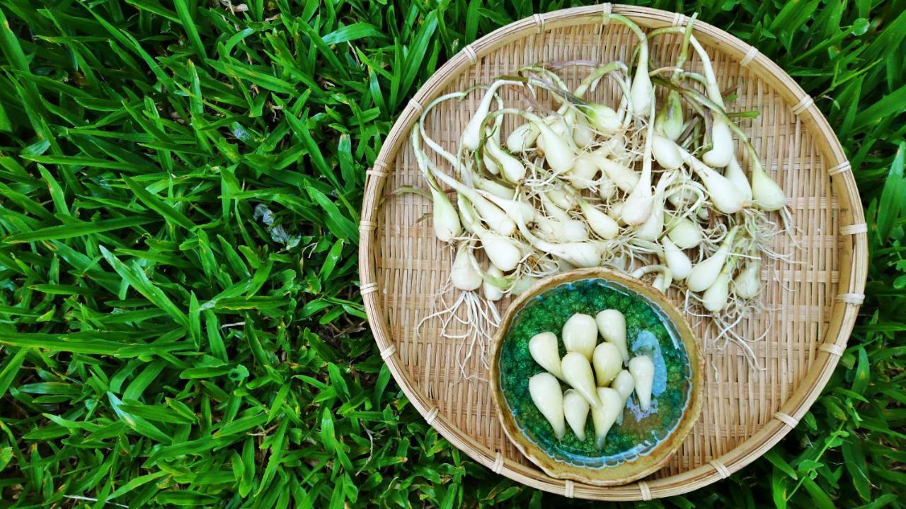 Yanzitao Pottery Coffee B&B Наньчжуан Номер фото